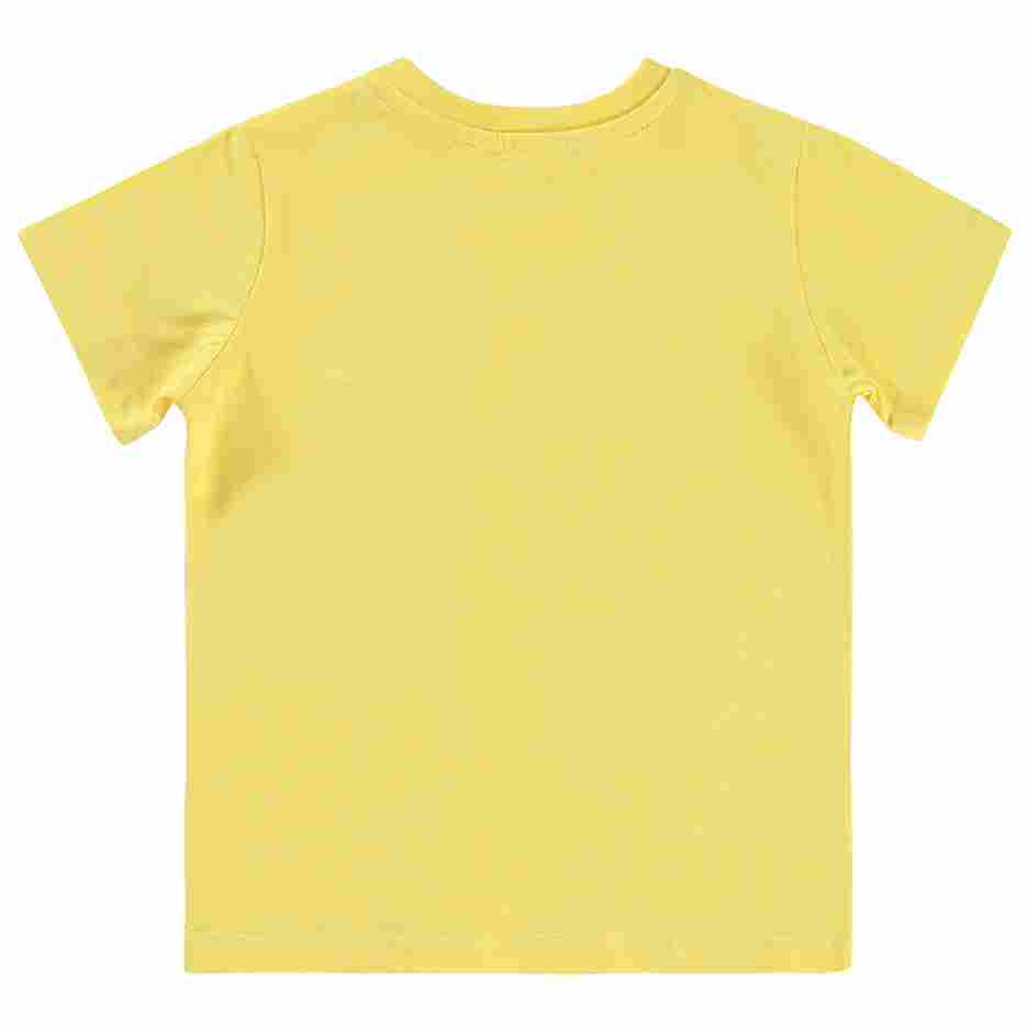 Boys_Shirts_Online / C0732